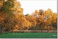 Herfstkleuren Grote Haart